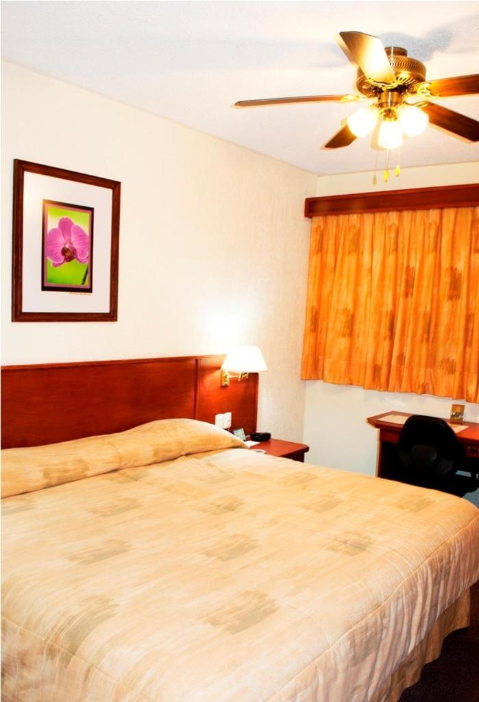 Hotel Marcella Clase Ejecutiva Morelia Eksteriør bilde